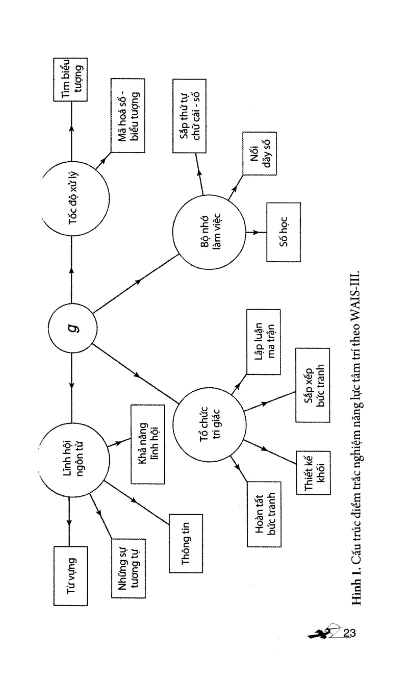 dẫn luận về trí thông minh