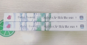 đánh cắp trái tim anh (bộ 2 cuốn)