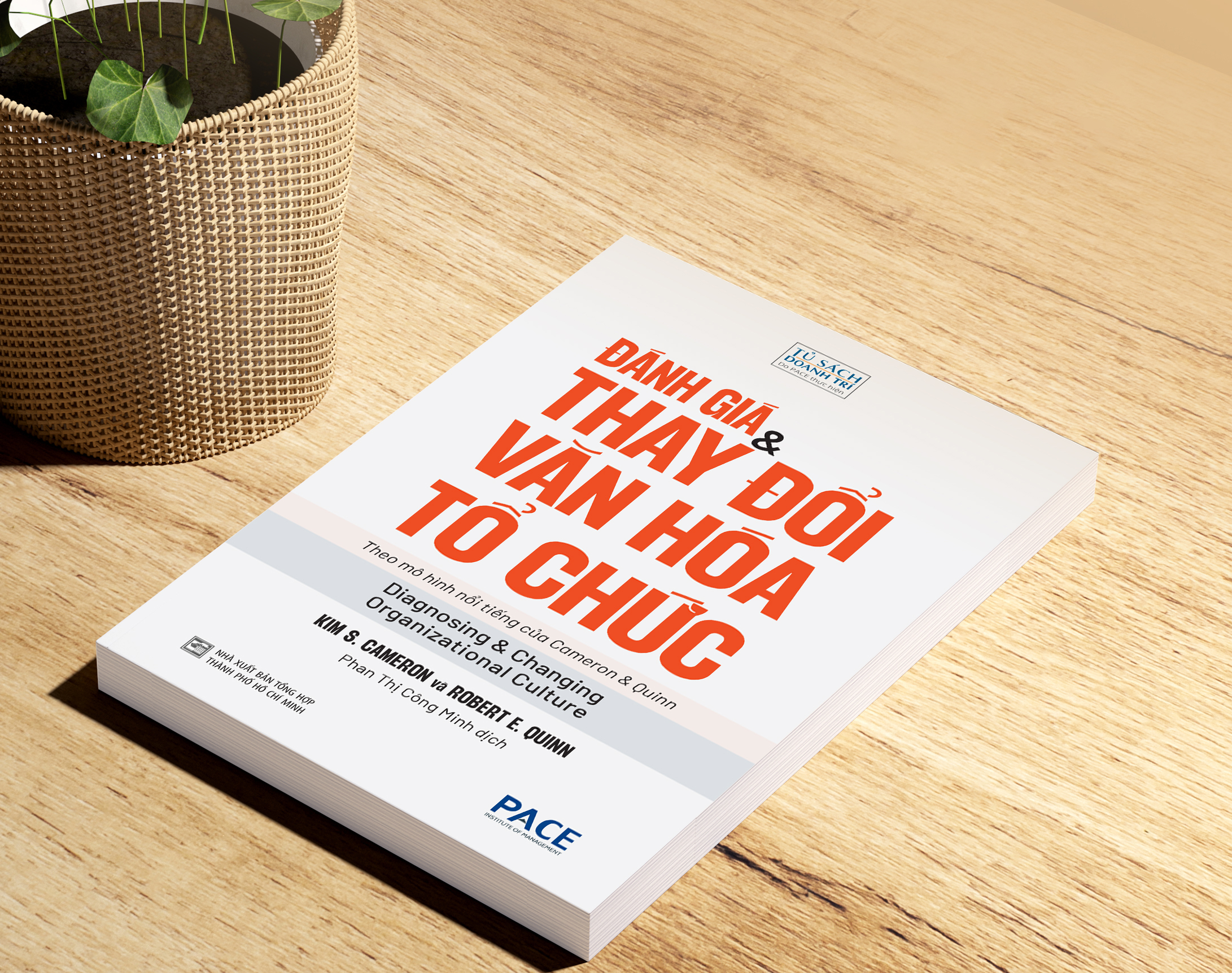 đánh giá và thay đổi văn hoá tổ chức - diagnosing and changing organizational culture