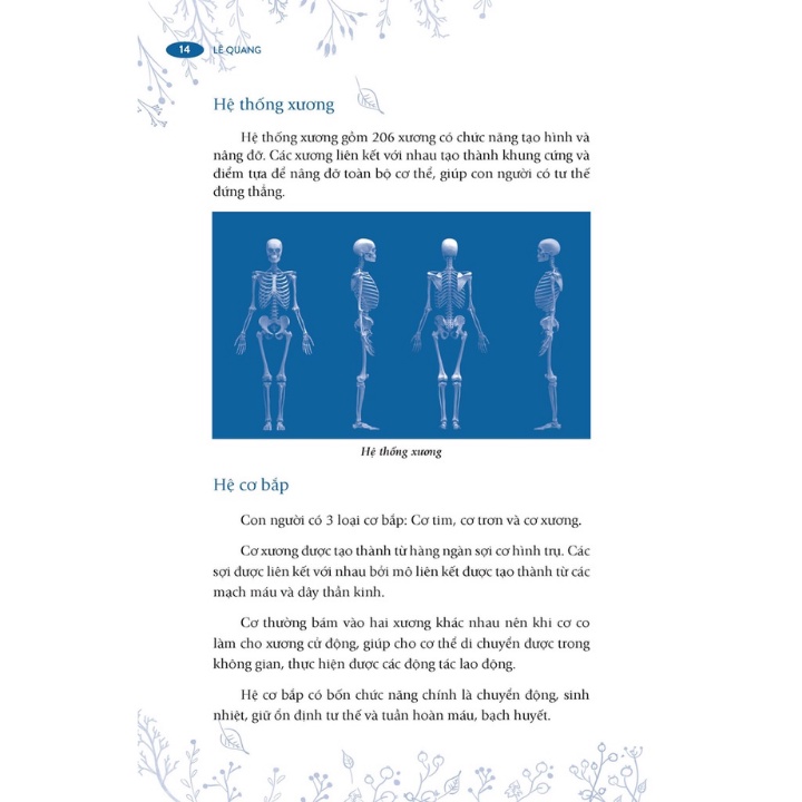 đánh thức khả năng tự chữa lành bệnh của cơ thể