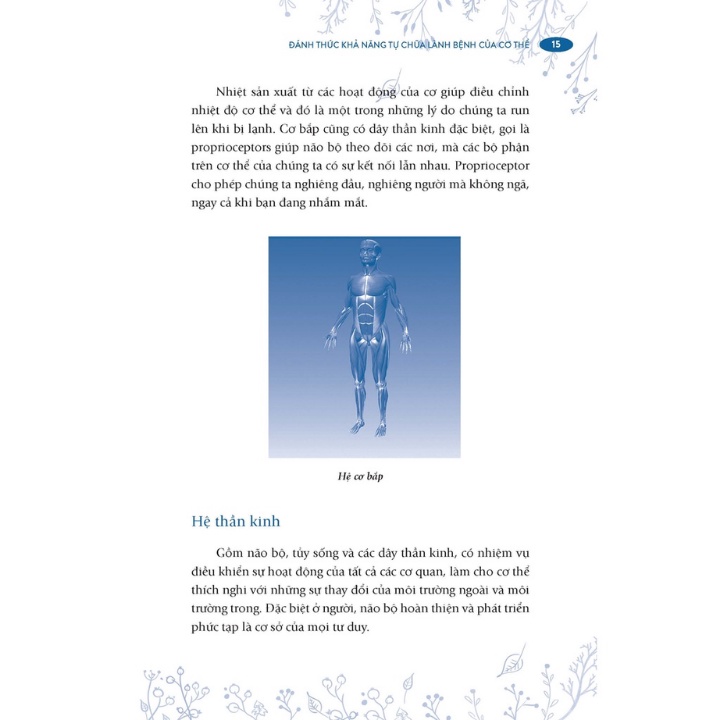 đánh thức khả năng tự chữa lành bệnh của cơ thể