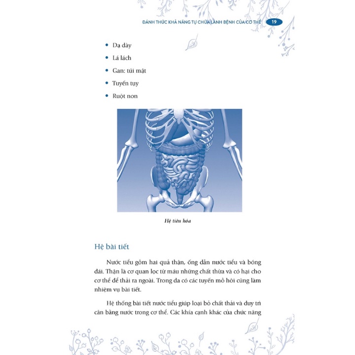 đánh thức khả năng tự chữa lành bệnh của cơ thể