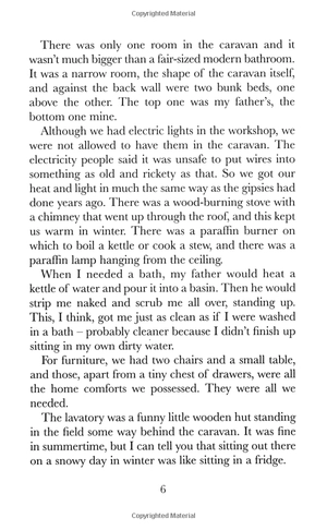 danny the champion of the world