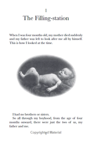 danny the champion of the world