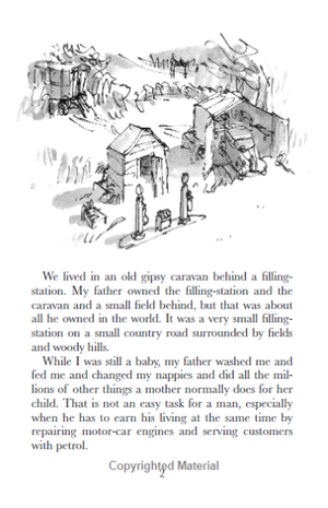 danny the champion of the world