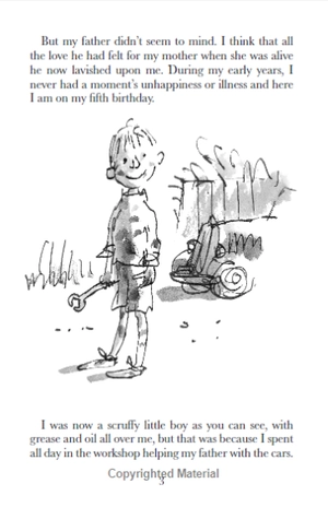 danny the champion of the world