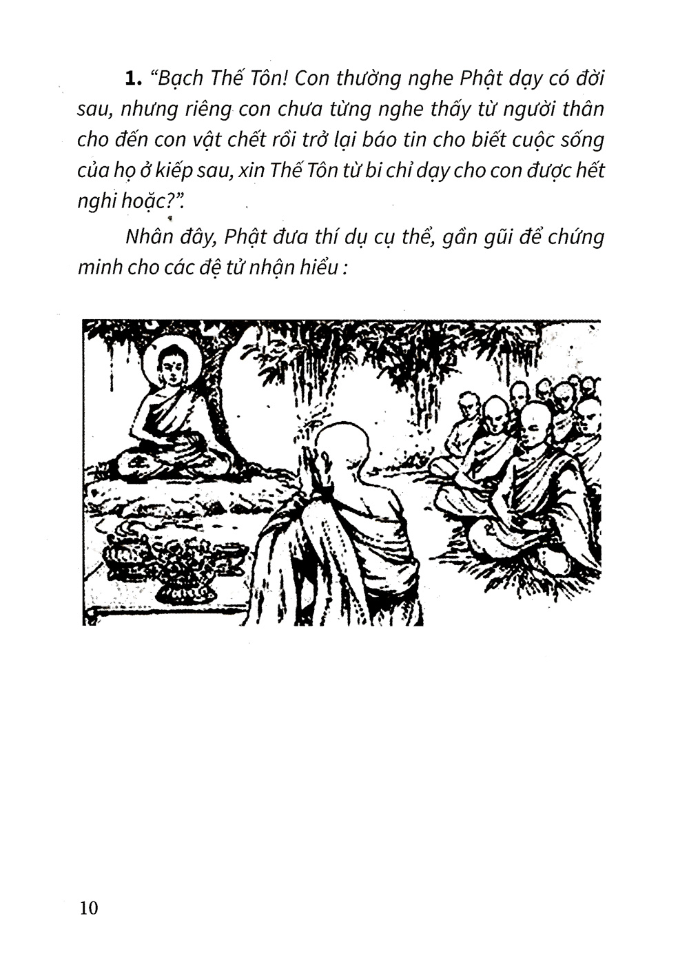 đạo lý luân hồi