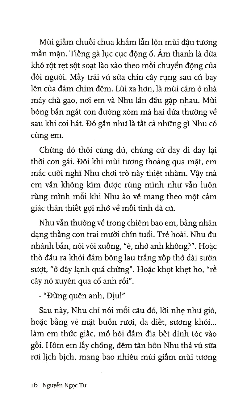 đảo (tái bản 2019)