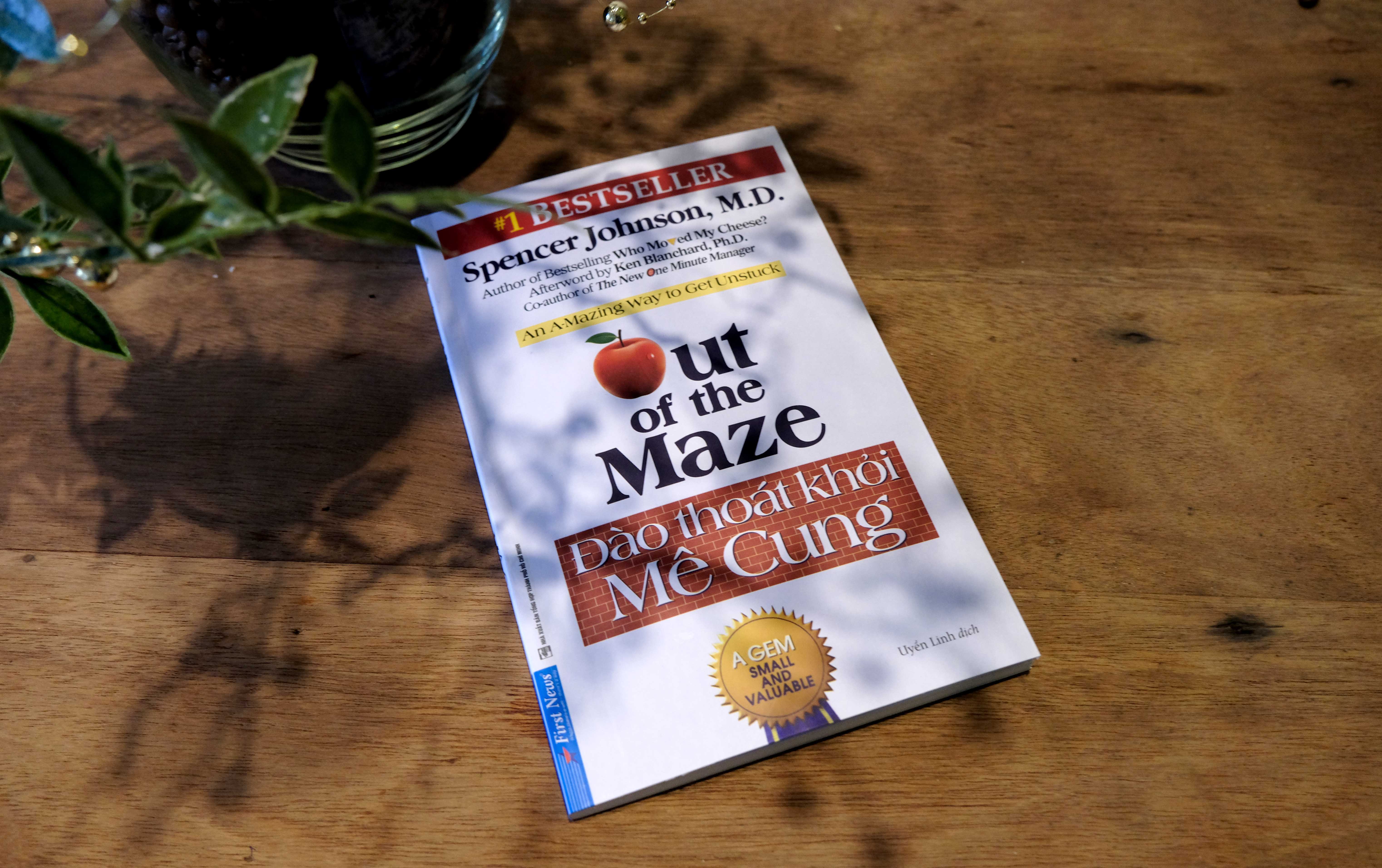 đào thoát khỏi mê cung - out of the maze