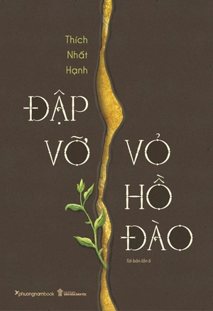 đập vỡ vỏ hồ đào (tái bản 2024)