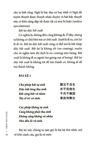 đập vỡ vỏ hồ đào (tái bản 2024)