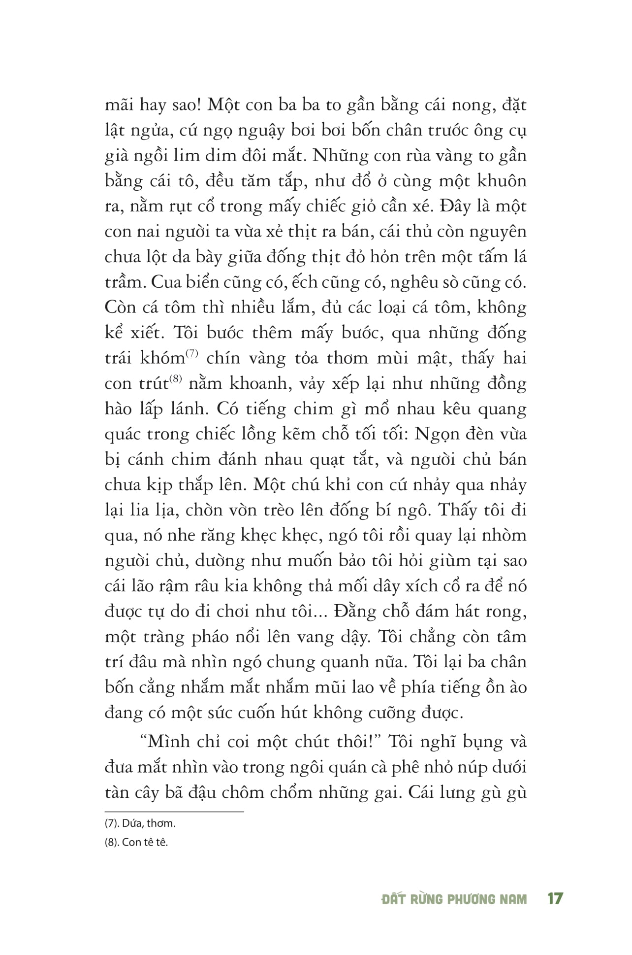 đất rừng phương nam - bìa cứng (tái bản 2025)