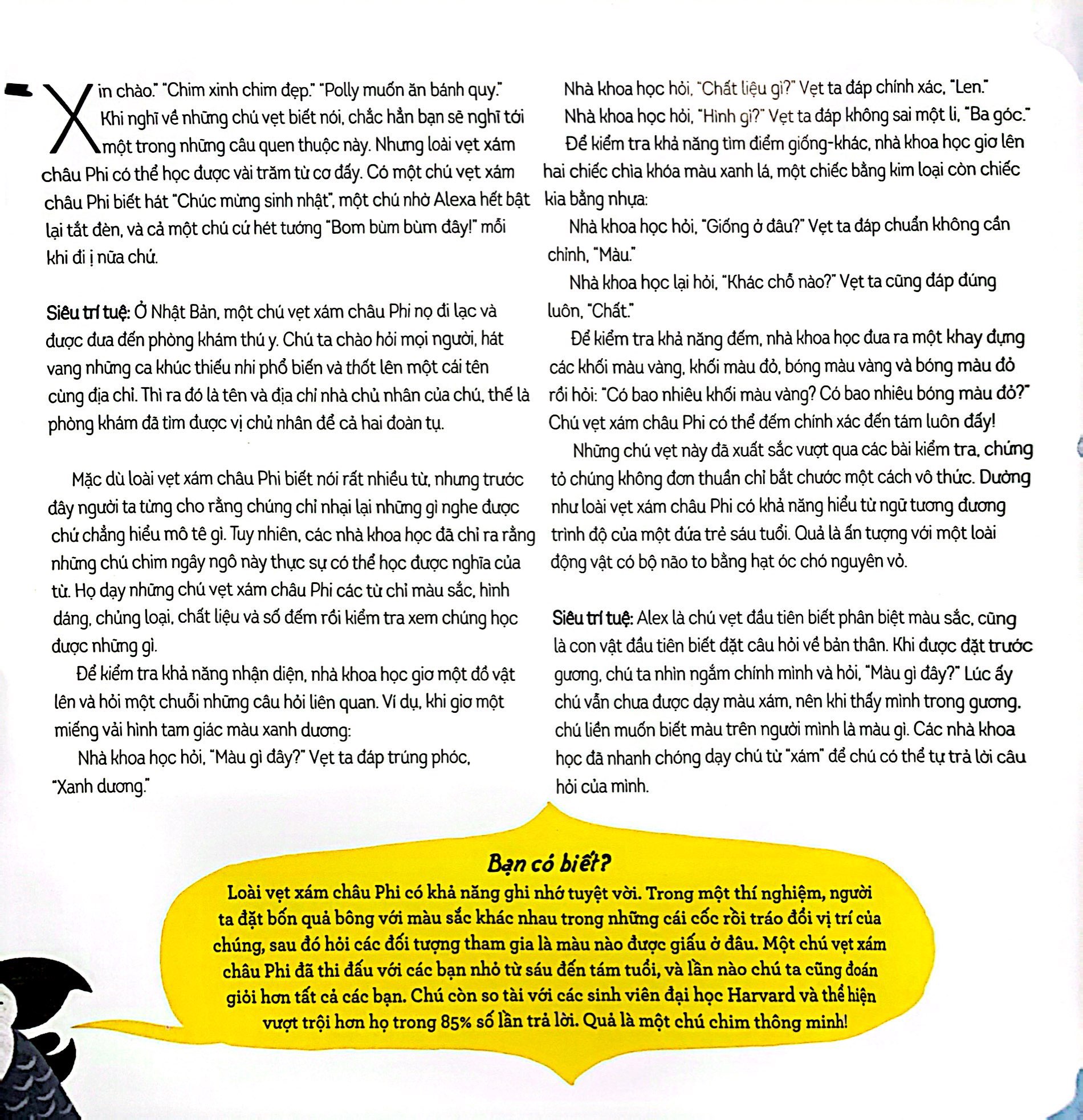 đấu não so tài - khoa học đẳng sau não bộ muôn loài