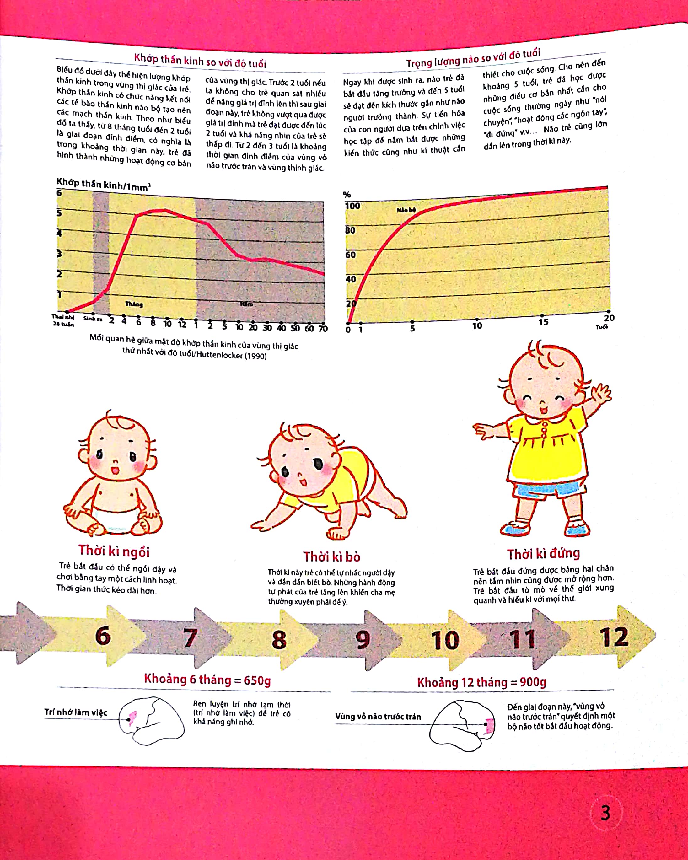 dạy con kiểu nhật - giai đoạn 0 tuổi (tái bản)