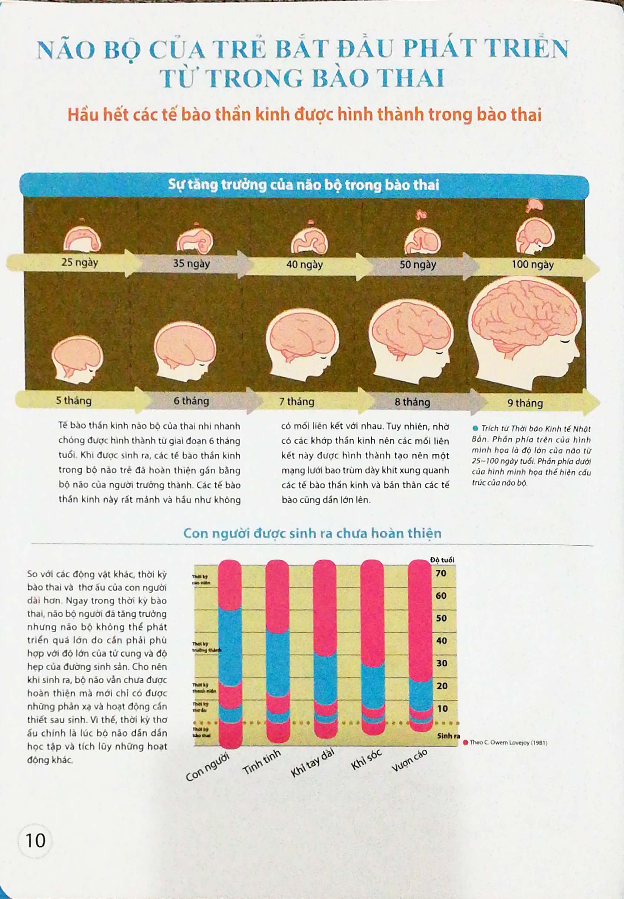 dạy con kiểu nhật - giai đoạn 0 tuổi (tái bản)