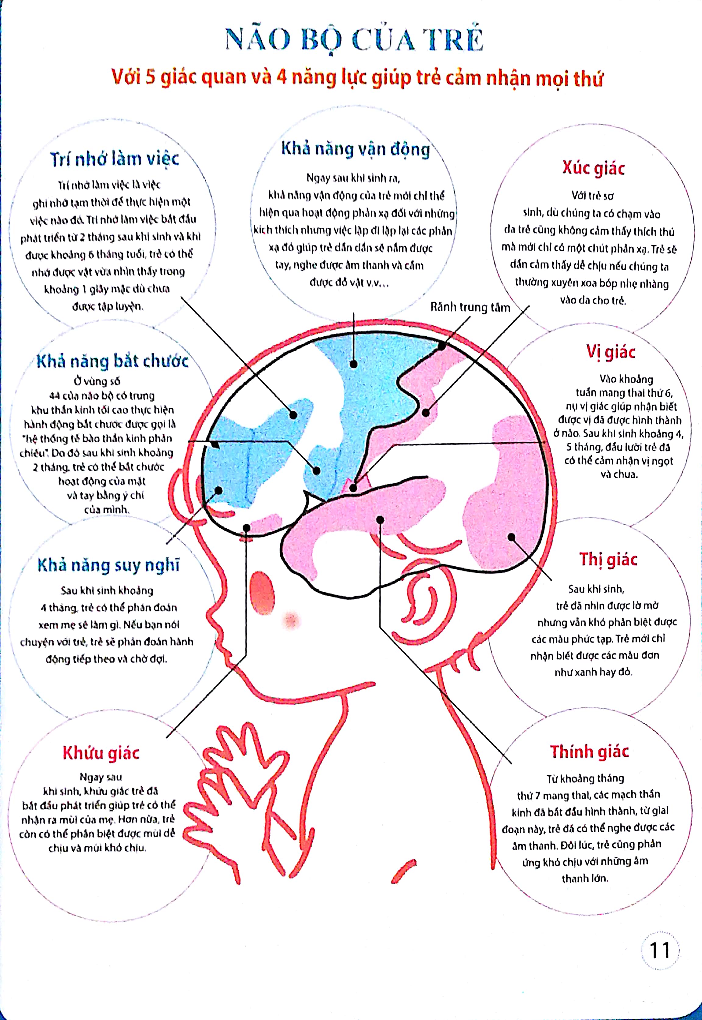 dạy con kiểu nhật - giai đoạn 0 tuổi (tái bản)