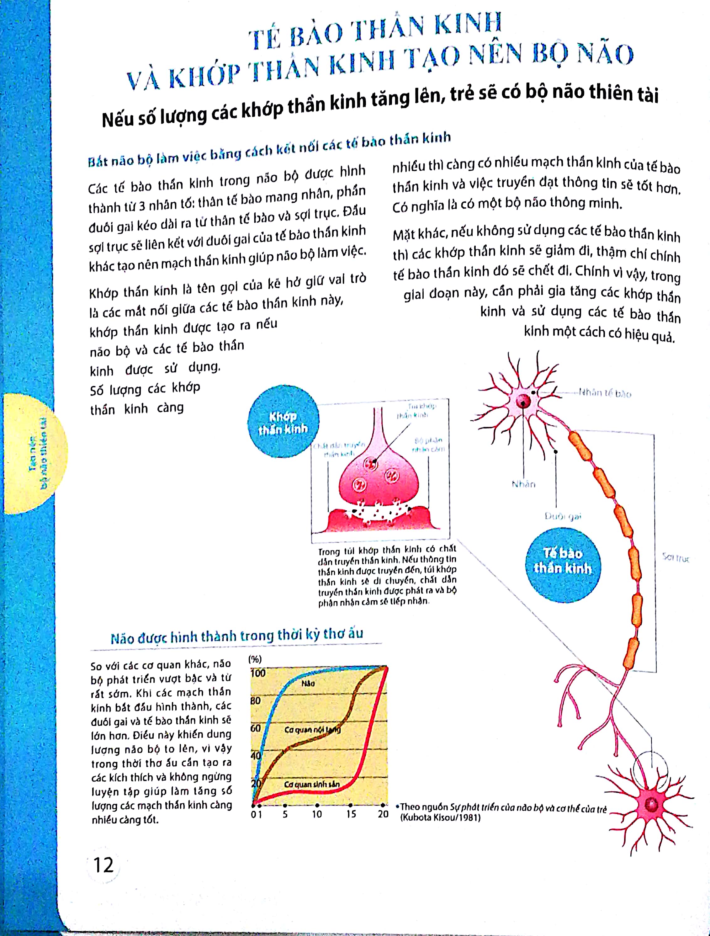dạy con kiểu nhật - giai đoạn 0 tuổi (tái bản)