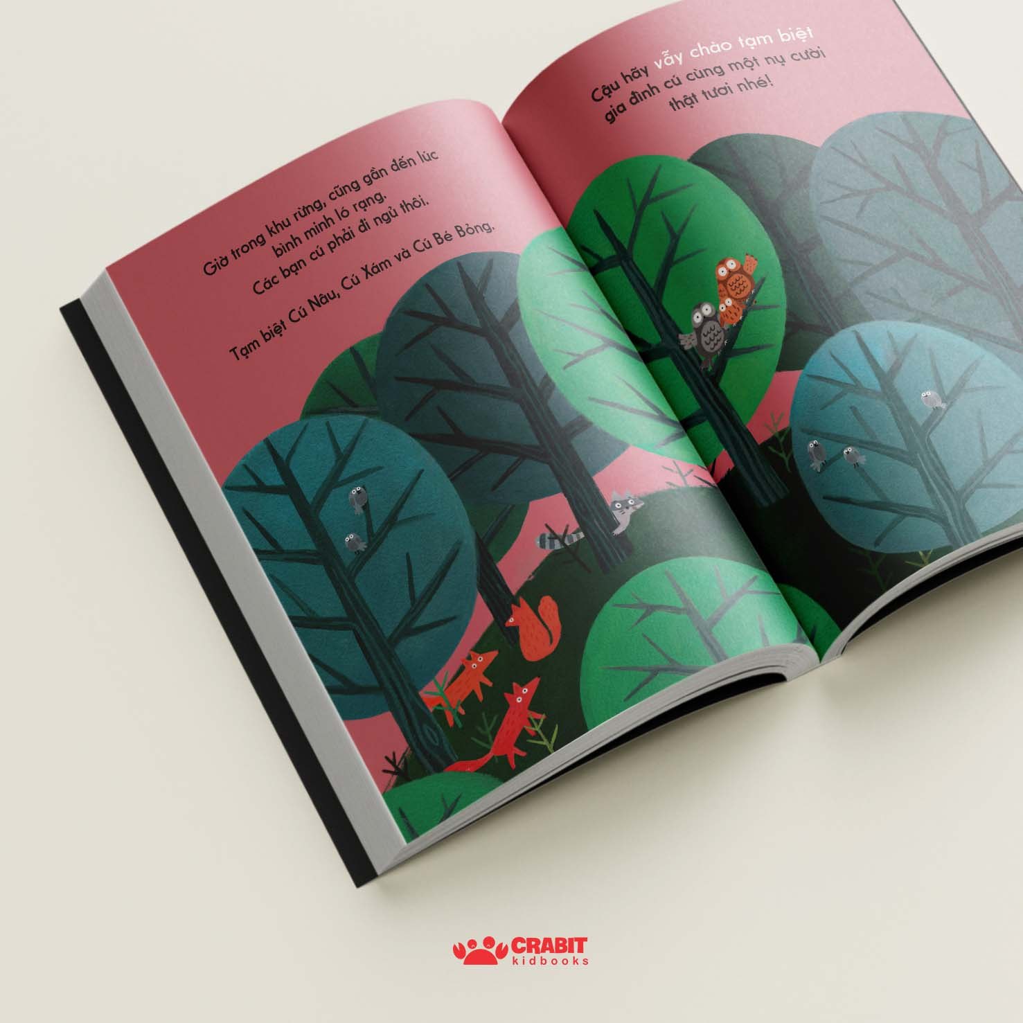 đây là cú nâu - bìa cứng