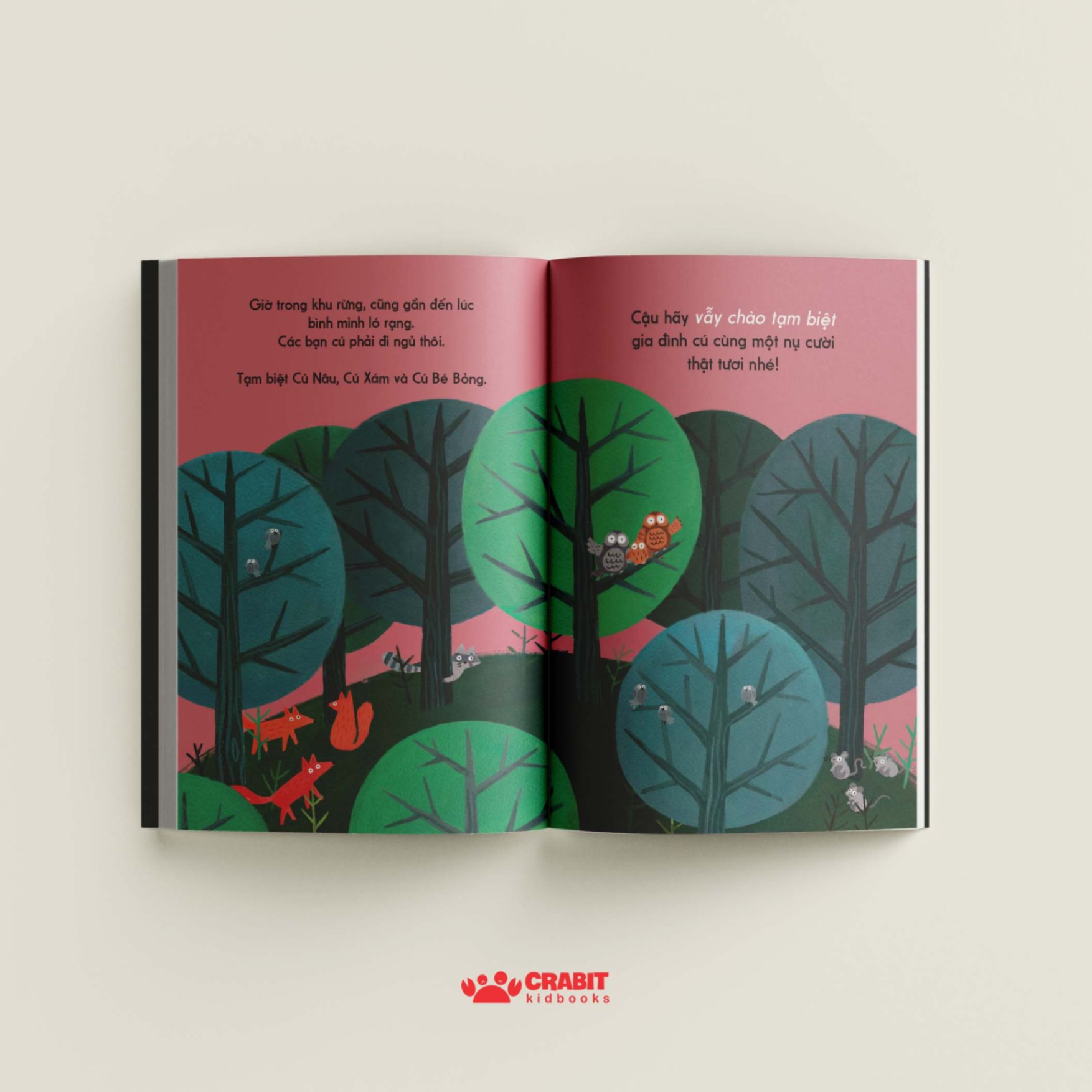 đây là cú nâu - bìa cứng