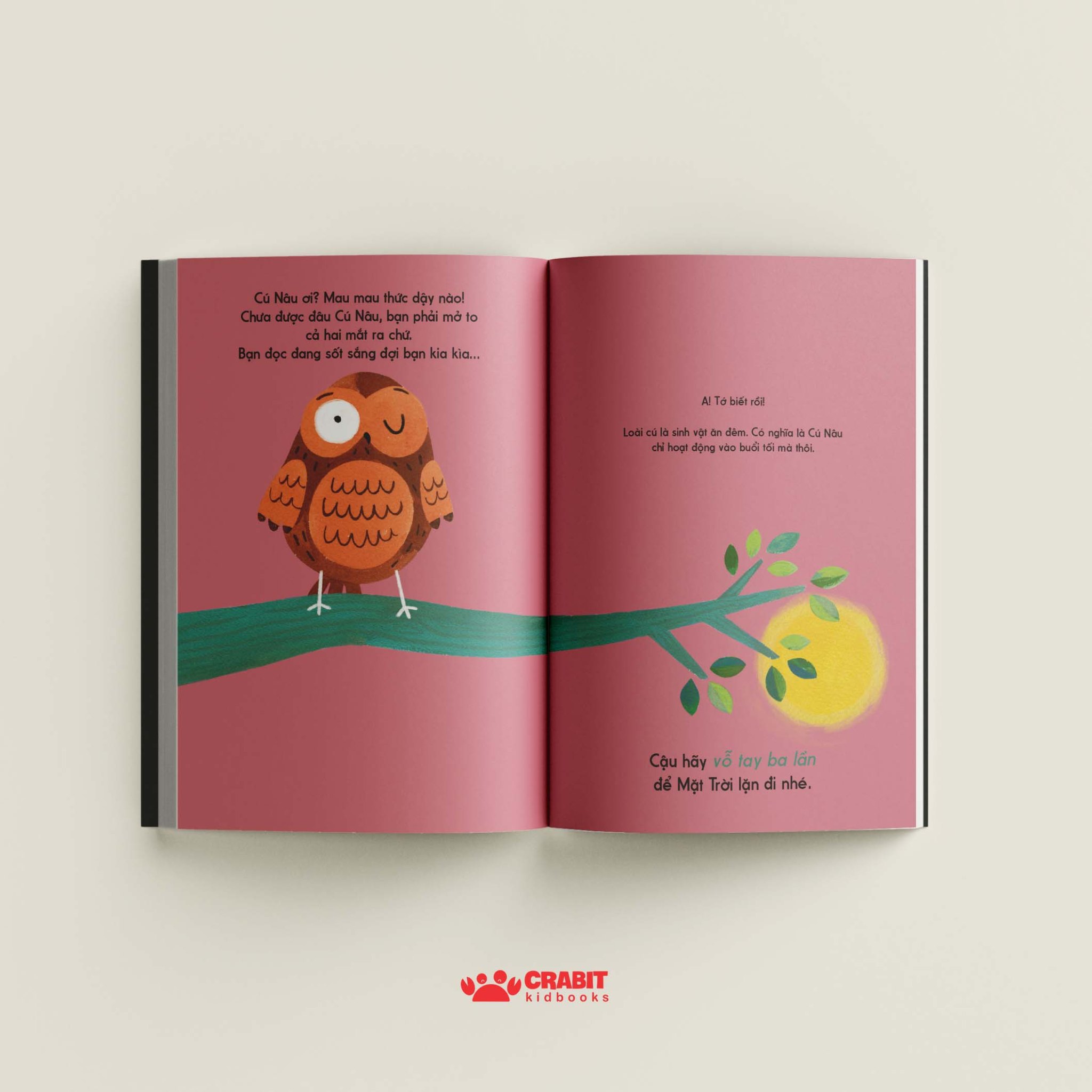 đây là cú nâu - bìa cứng