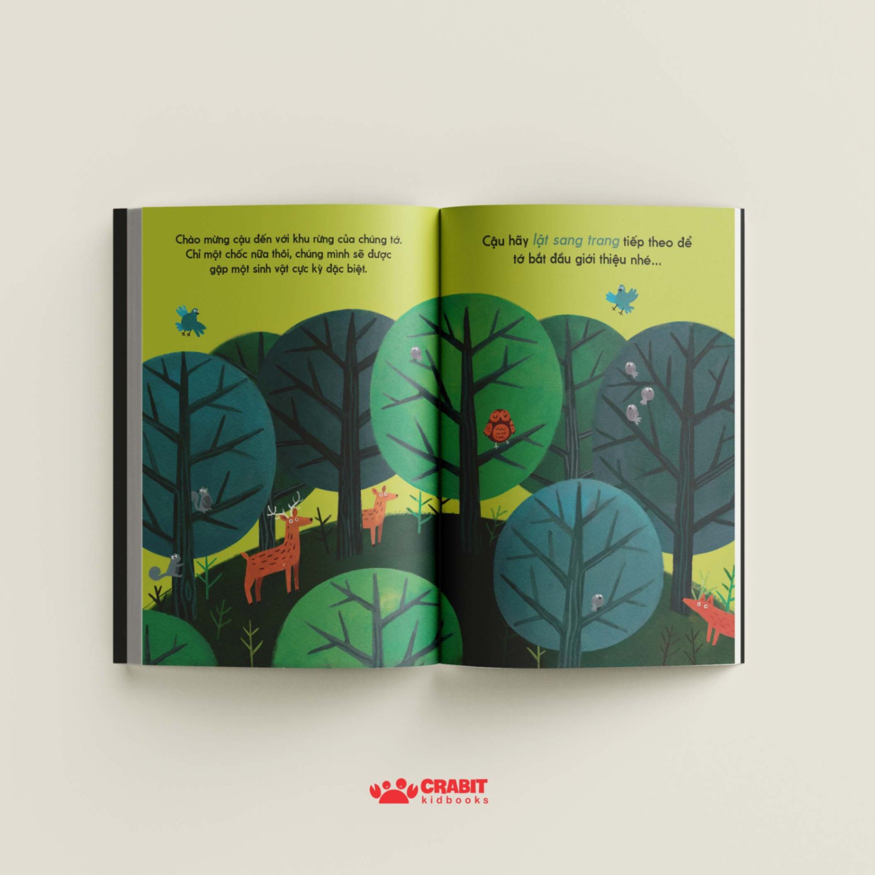 đây là cú nâu - bìa cứng