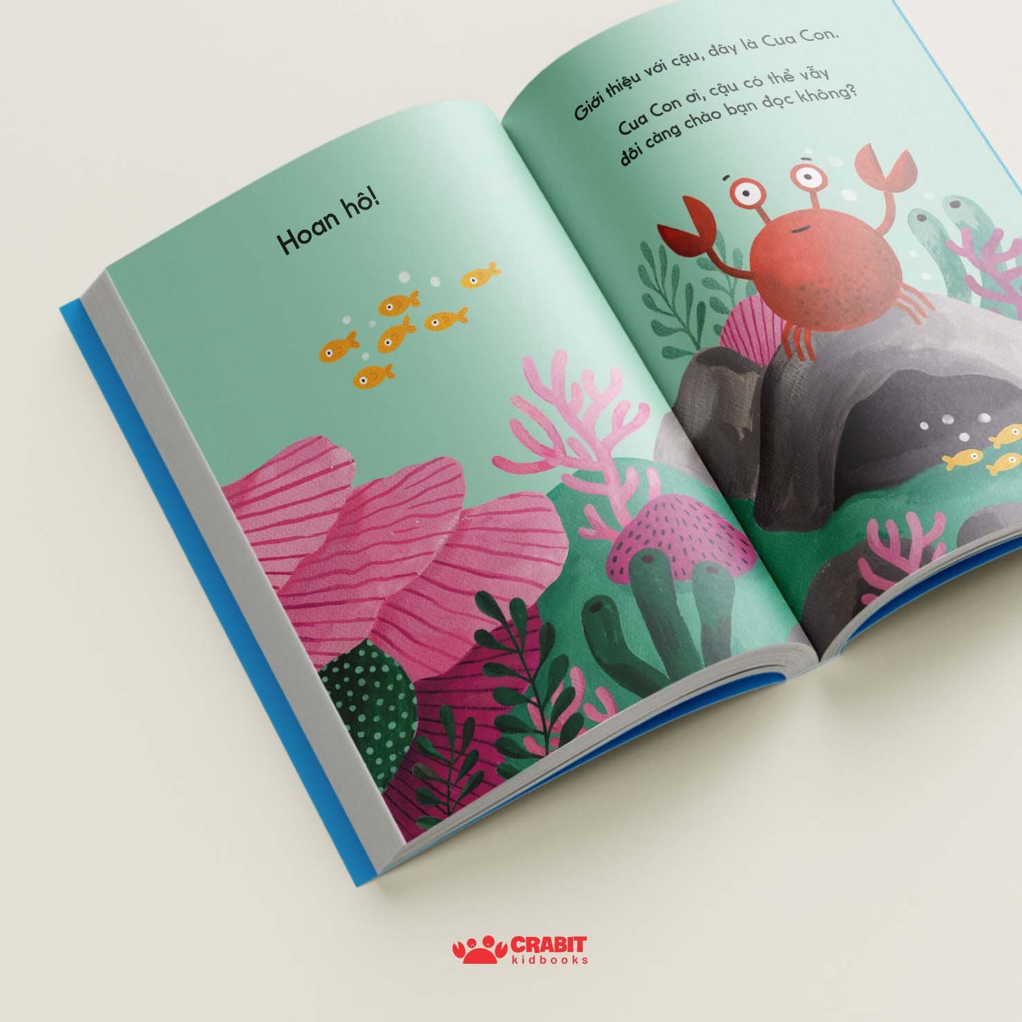 đây là cua con - bìa cứng