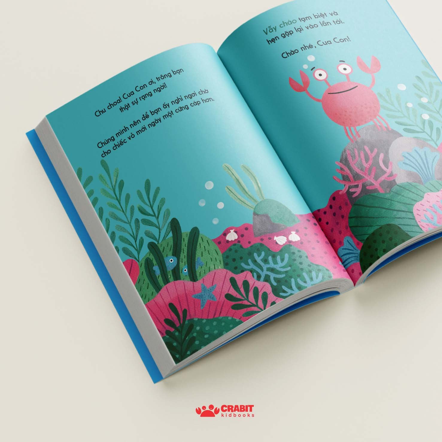 đây là cua con - bìa cứng