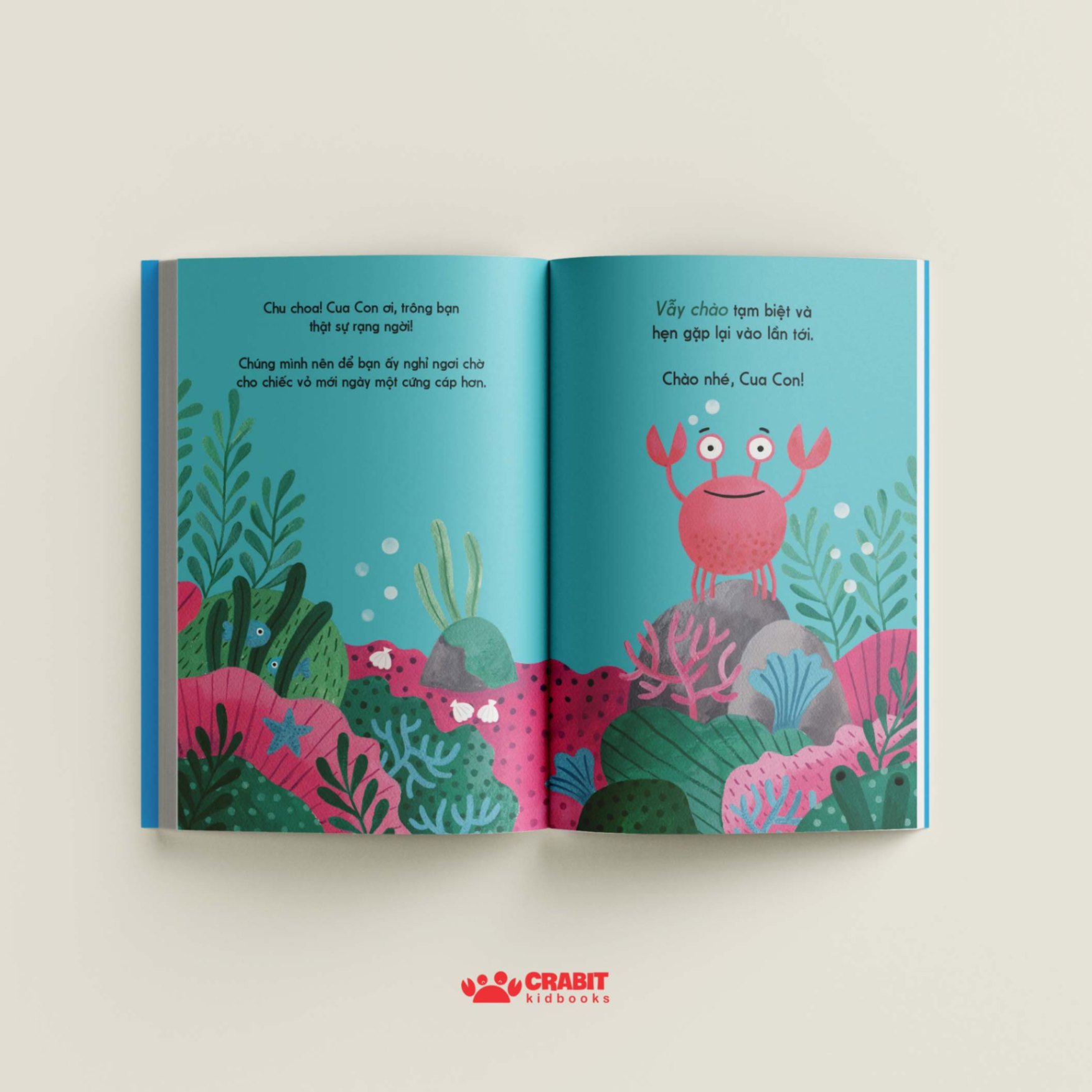 đây là cua con - bìa cứng