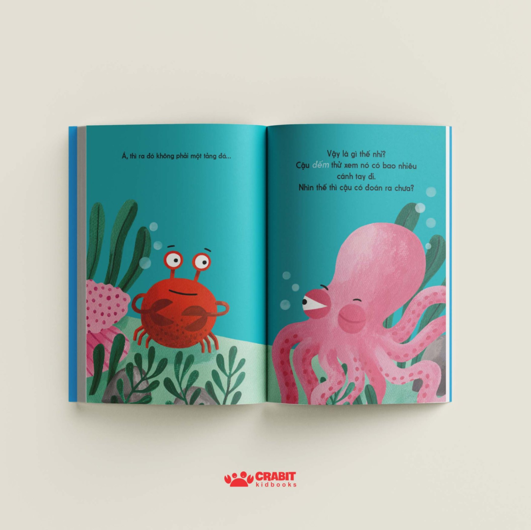 đây là cua con - bìa cứng