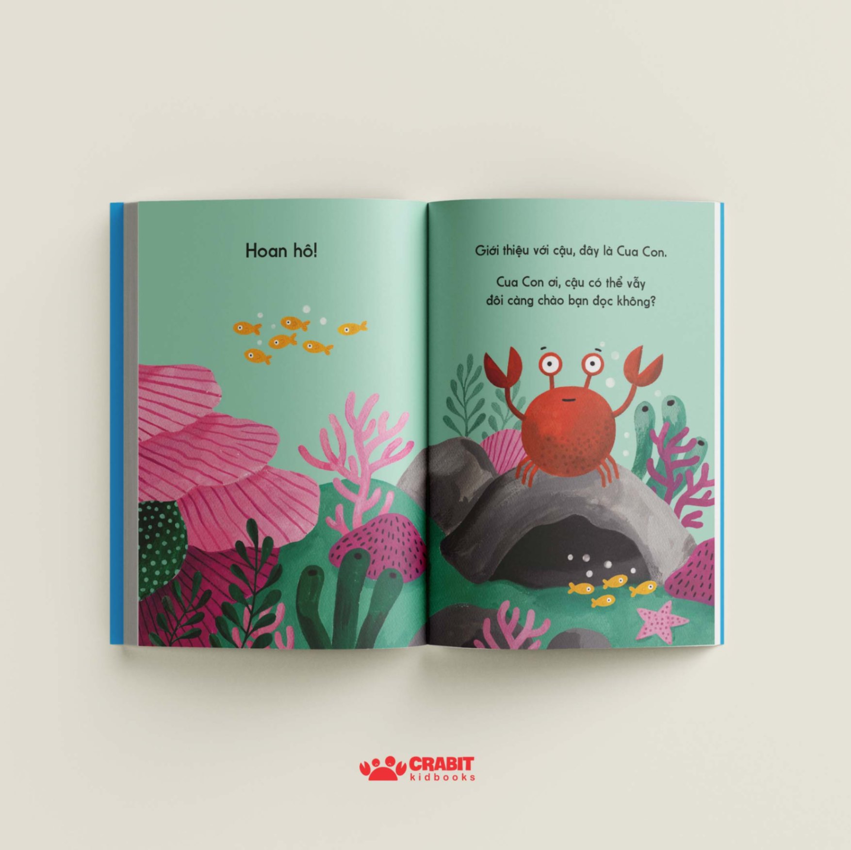 đây là cua con - bìa cứng