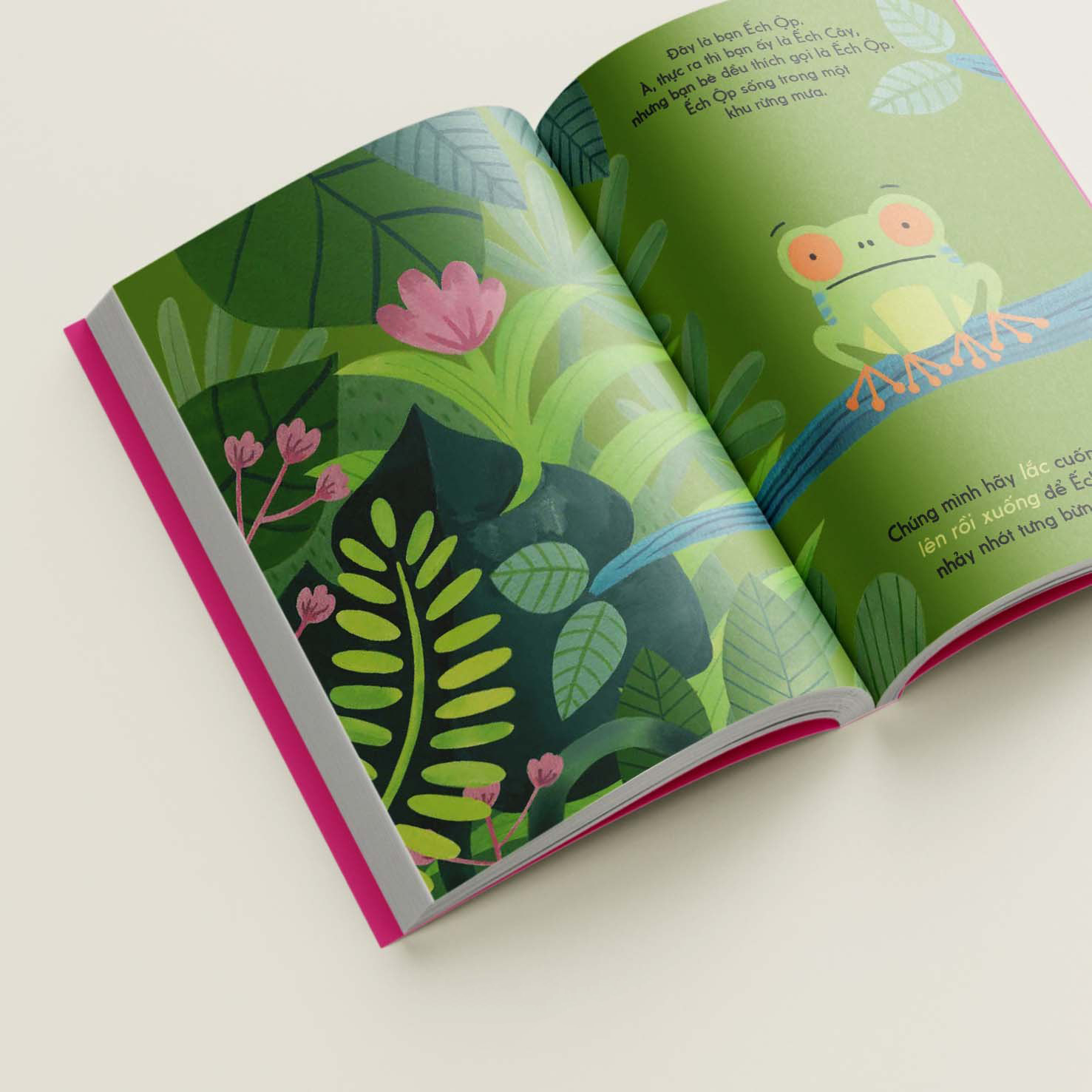 đây là ếch ộp - bìa cứng