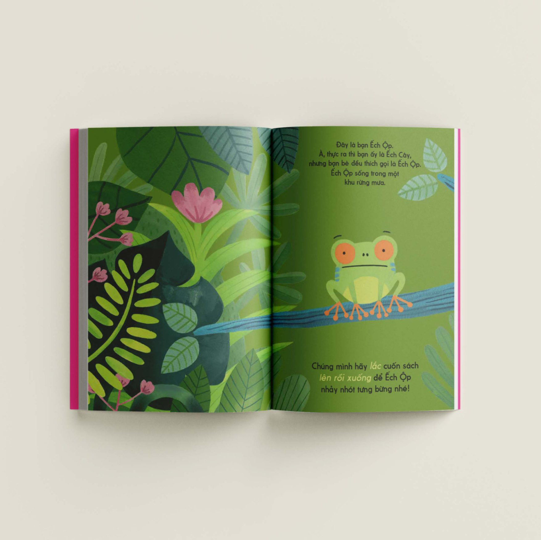 đây là ếch ộp - bìa cứng