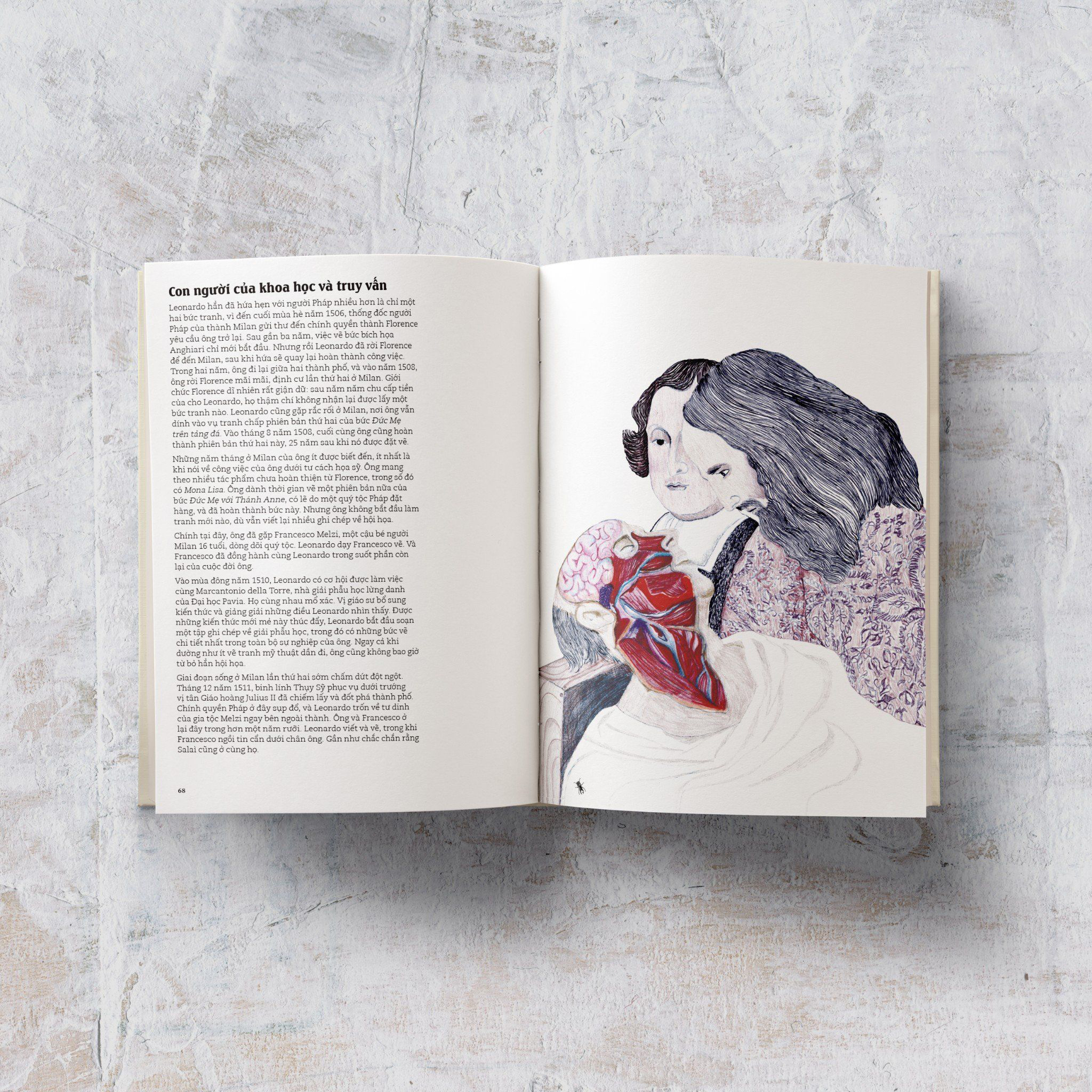 đây là leonardo da vinci