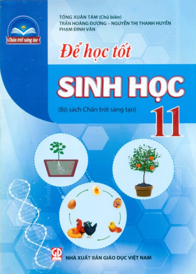 Để Học Tốt Sinh Học 11 (Chân Trời Sáng Tạo) (2023)