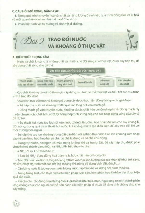 Để Học Tốt Sinh Học 11 (Chân Trời Sáng Tạo) (2023)