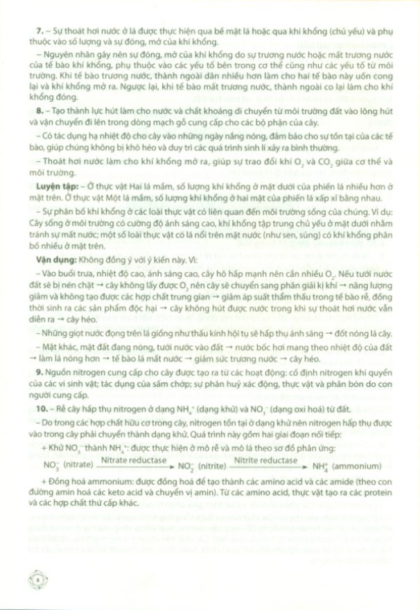 Để Học Tốt Sinh Học 11 (Chân Trời Sáng Tạo) (2023)