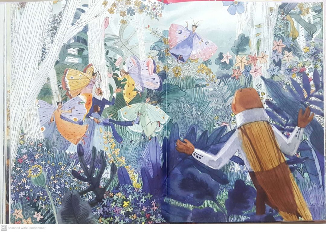 dế mèn phiêu lưu ký - đậu đũa minh họa