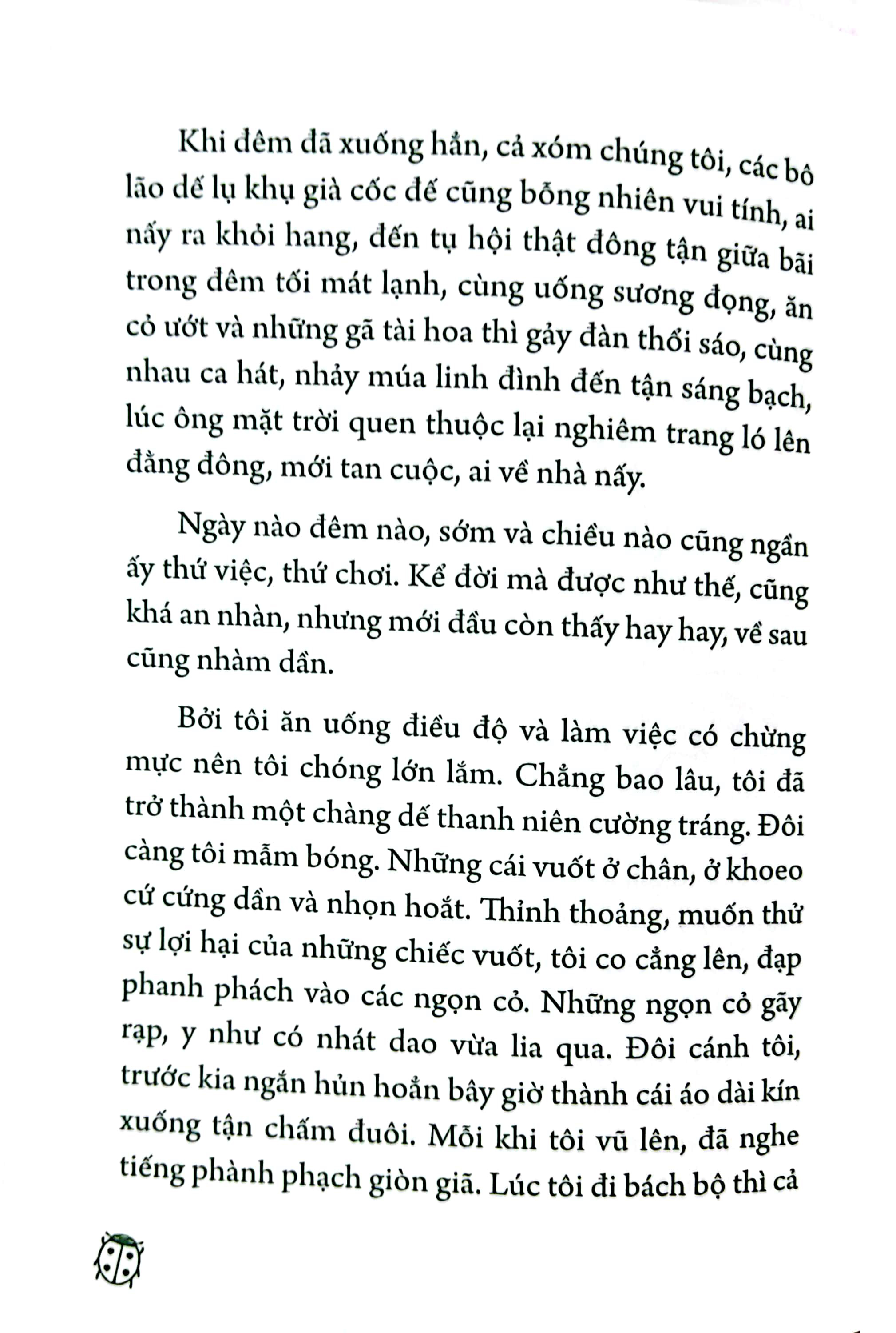 dế mèn phiêu lưu ký - ngô xuân khôi minh họa