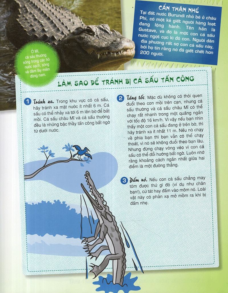 De Song Sot Trong Nhung Tinh Huong Khac Nghiet Nhat - Bia Cung (Tai Ban 2025)