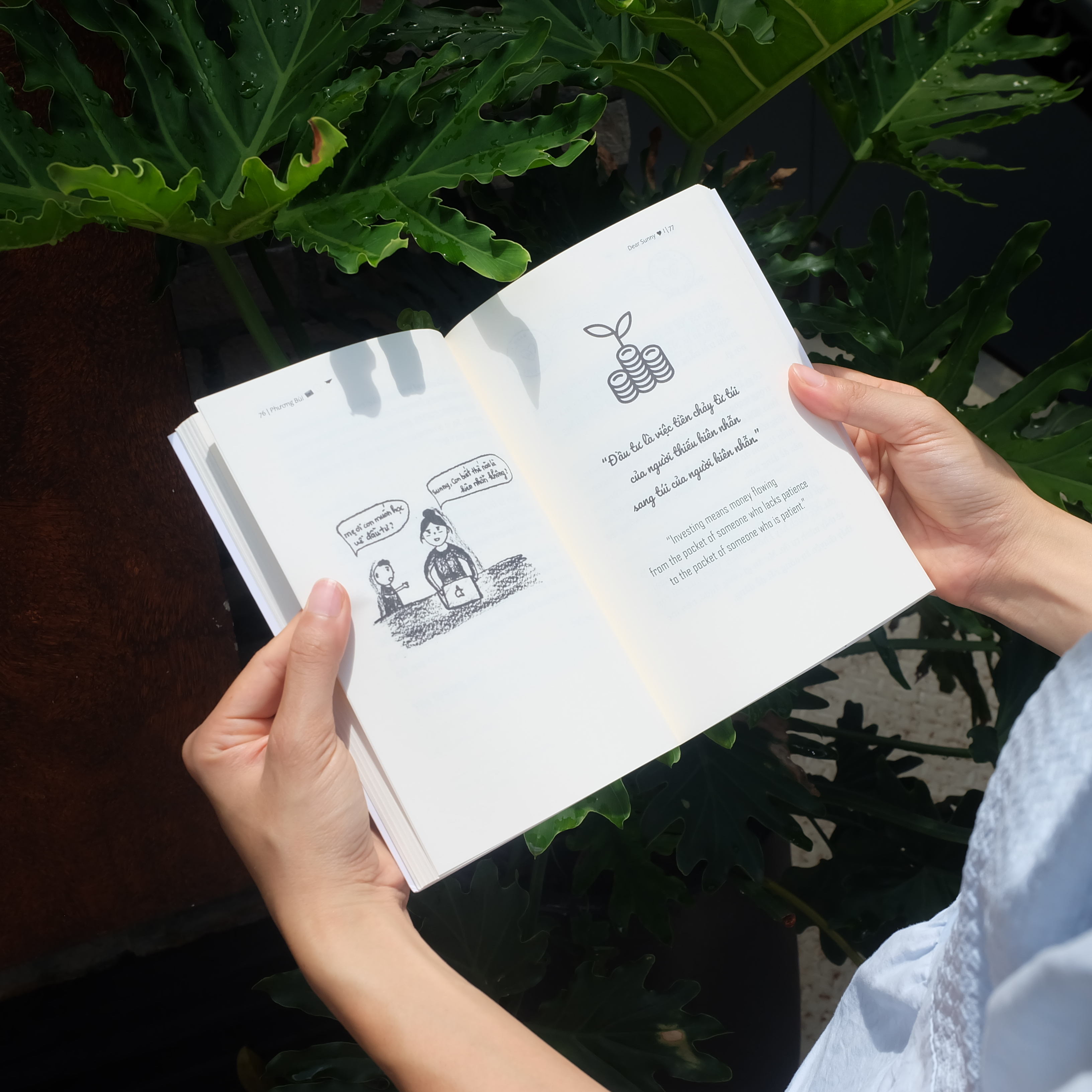 Dear Sunny - Nhung Buc Thu Trao Gui Yeu Thuong Va Tri Tue