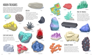 deep: dive into hidden worlds