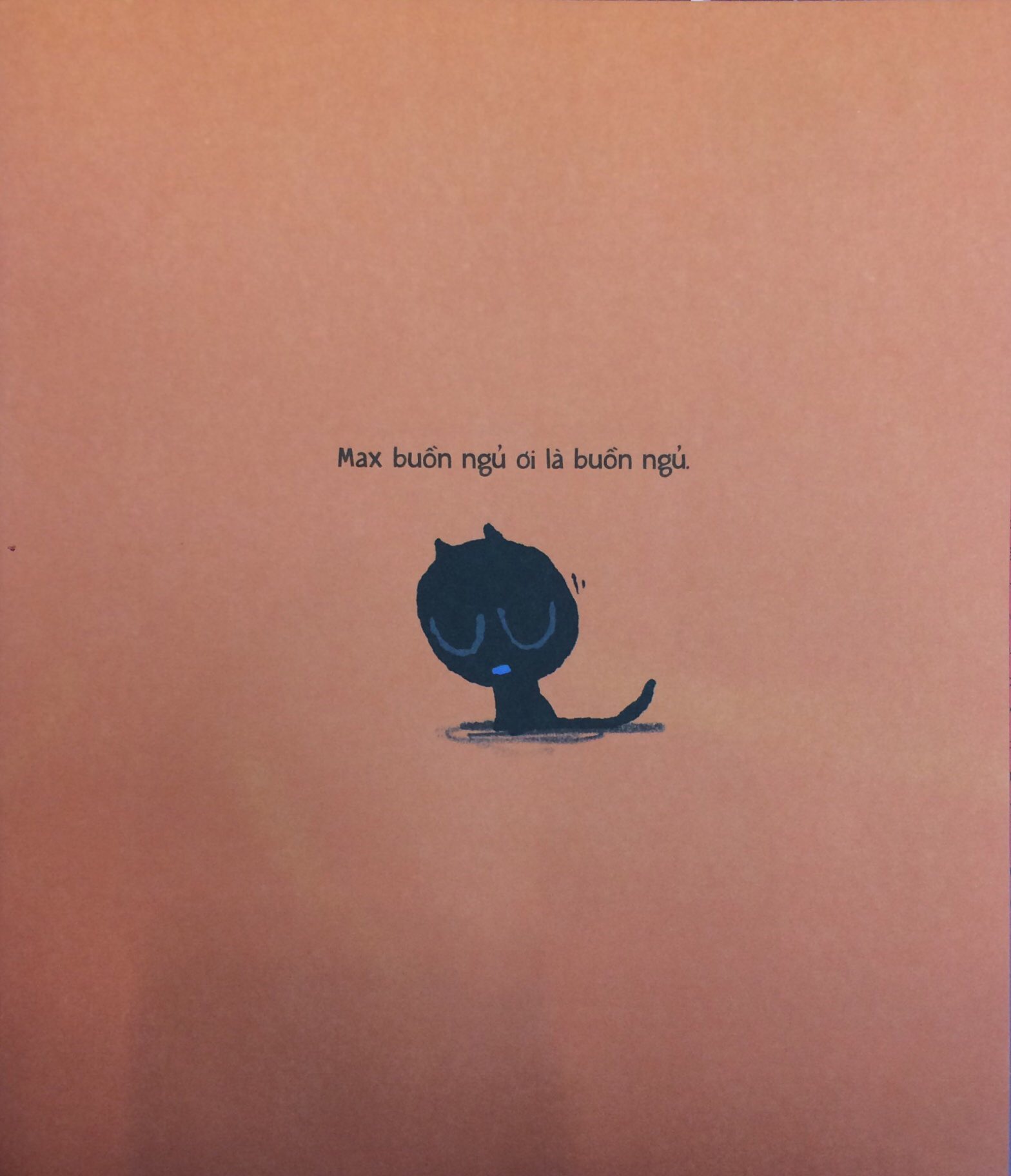 đêm của mèo max