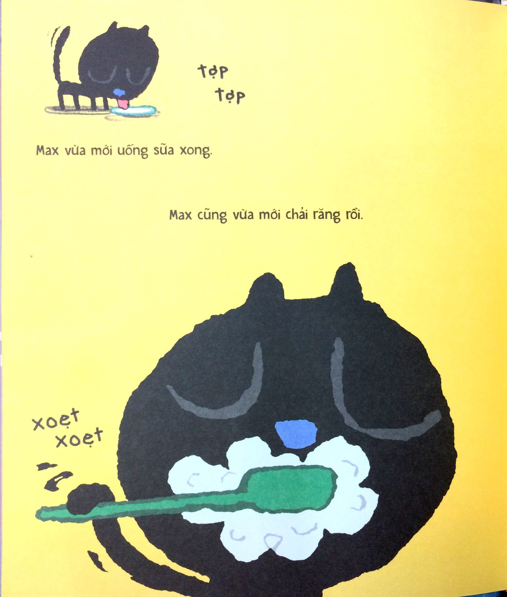 đêm của mèo max