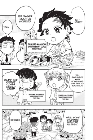 demon slayer - kimetsu academy 2 (english edition)