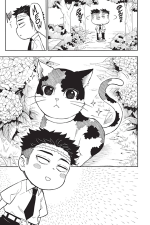 demon slayer - kimetsu academy 2 (english edition)