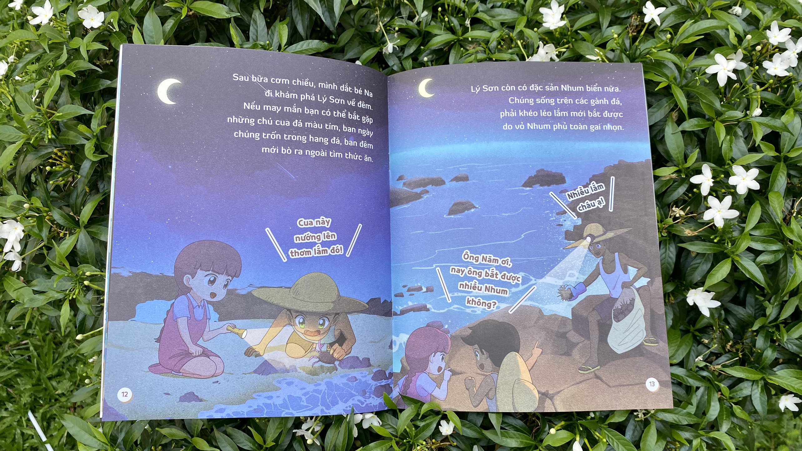 đến thăm thành phố của em: lý sơn kỳ vĩ