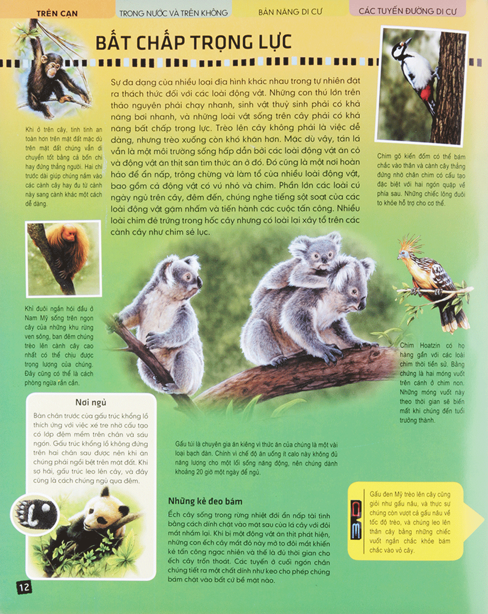 di chuyển và di cư