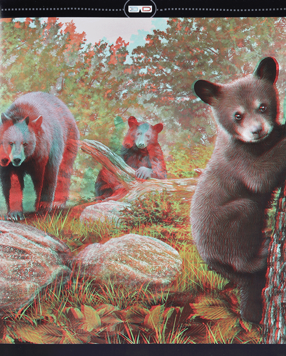 di chuyển và di cư