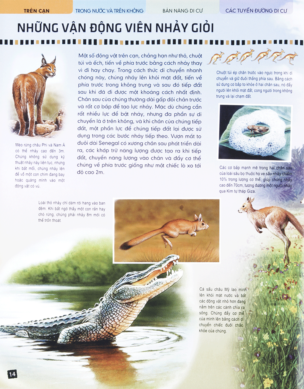 di chuyển và di cư