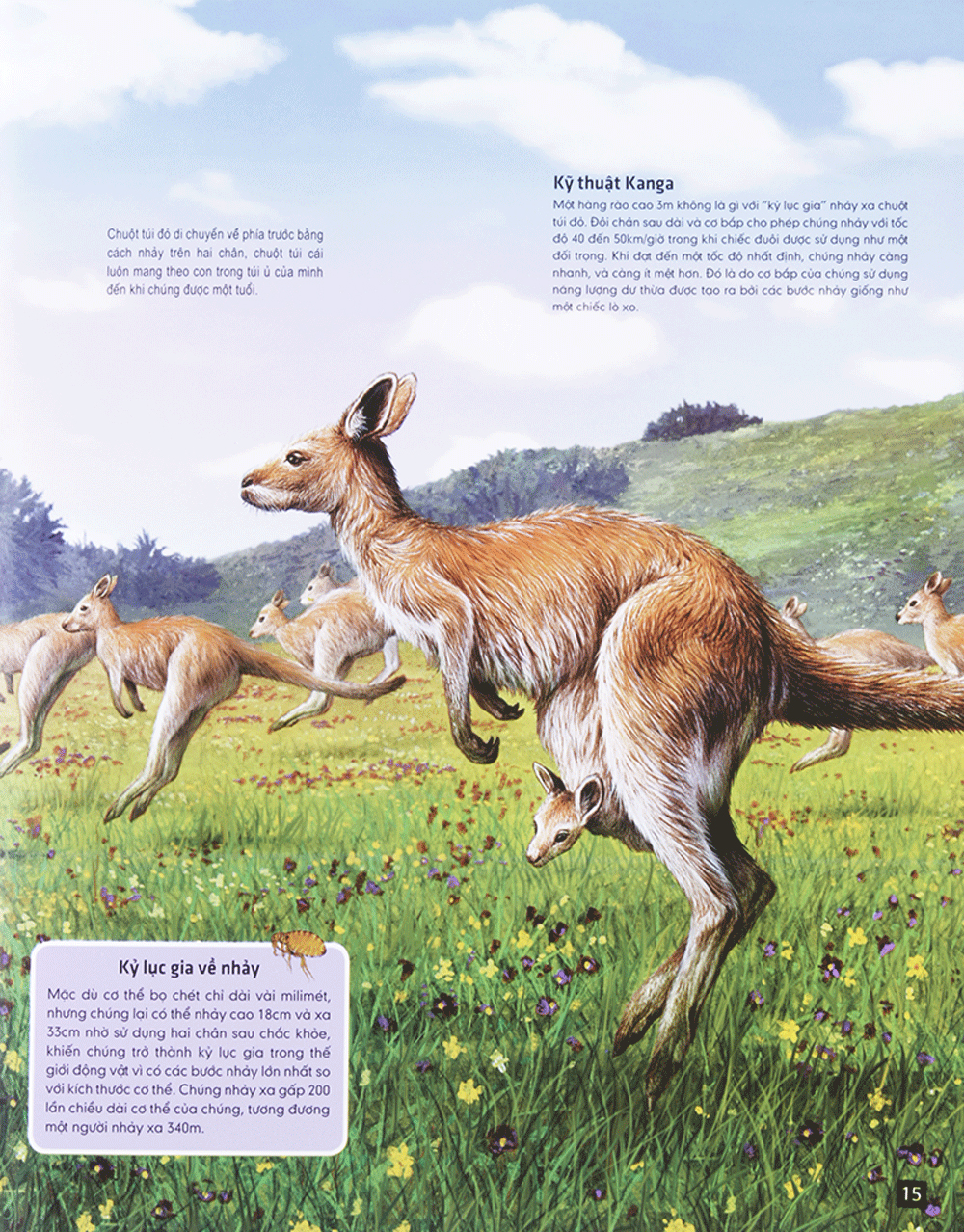 di chuyển và di cư